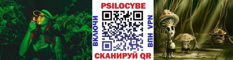 Галлюциногенные грибы Psilocybine cubensis  Гороховец 